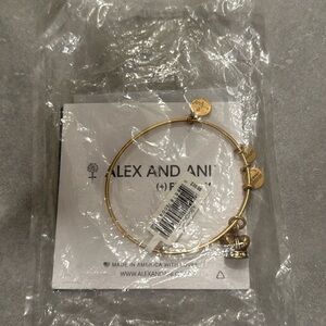 Alex and Ani king crown bracelet